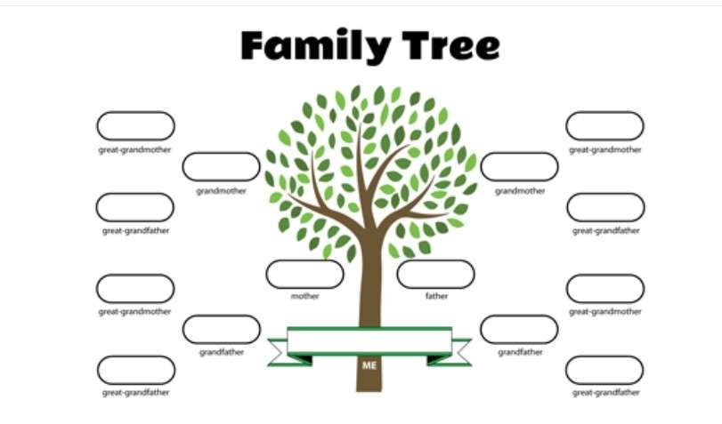 Genealogy