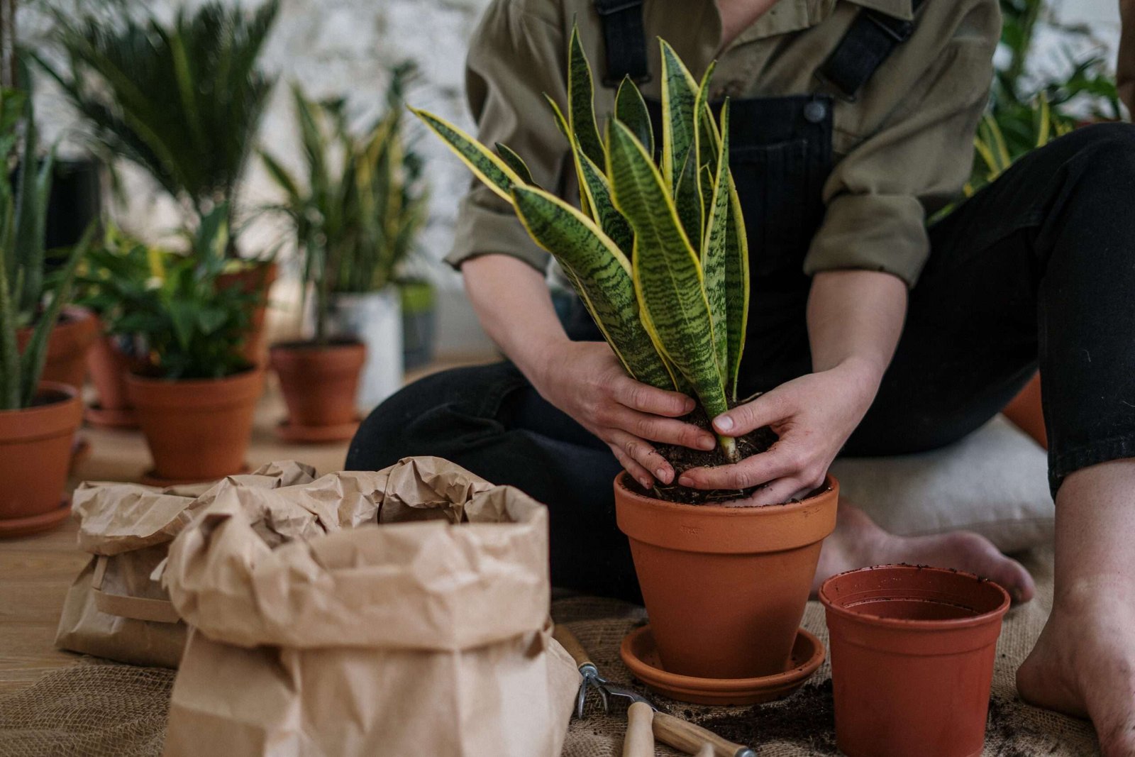 Gardening